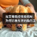 双叉臂悬挂性能揭秘:为何它是车界的隐形王者(图1) 双叉臂悬挂性能揭秘:为何它是车界的隐形王者(图1)