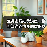 麦弗逊悬挂优缺点：你不知道的汽车底盘秘密（图1）