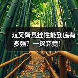 双叉臂悬挂性能到底有多强?一探究竟!(图1) 双叉臂悬挂性能到底有多强?一探究竟!(图1)