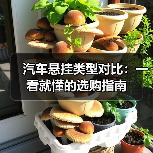 汽车悬挂类型对比:一看就懂的选购指南(图1) 汽车悬挂类型对比:一看就懂的选购指南(图1)